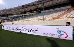 هفته بیست و نهم لیگ برتر فوتبال ایران - جام خلیج فارس