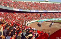 کسی قدر هواداران پرسپولیس را نمی داند